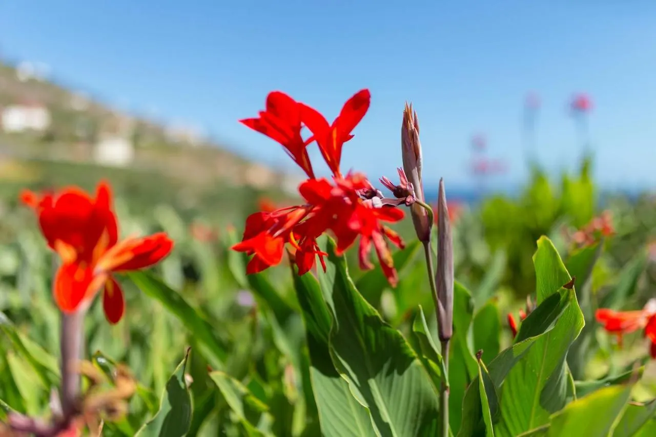 Tatil Evi Casa Rural El Arenal Hermigua